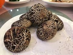 -复旦大学本部-食堂