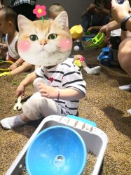 -幻贝家儿童乐园(苏州中心店)