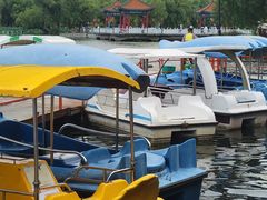 -长春市南湖公园