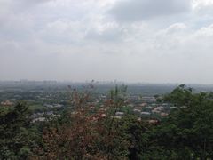 -上海佘山国家森林公园西佘山园