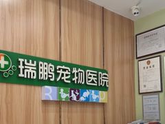-瑞鹏宠物医院·夜间急症·心超·猫科(祖庙分店)