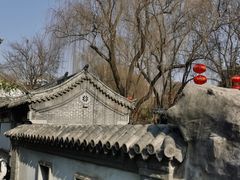 -趵突泉景区
