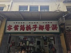 -洪馨椰子