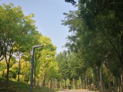 -东郊湿地公园