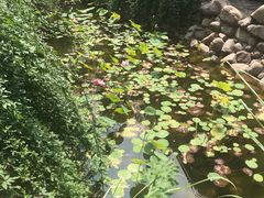 -竹中驿农家餐馆