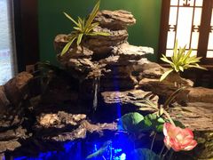 -佬麻雀·新湘菜(珠海金发购物中心店)