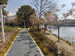 -新江湾城公园
