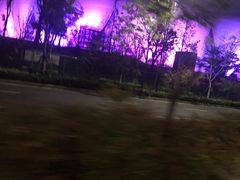 -杭州奥体中心-体育场