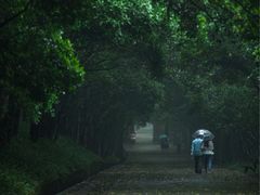 -灵谷景区