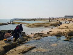 -日照灯塔风景区