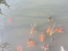 -檀园