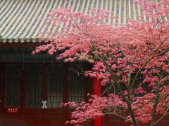 -西安碑林博物馆