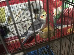 -玉和山庄农家菜