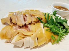 -巫记鸡饭店