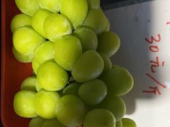 -马陆小张葡萄园农家乐