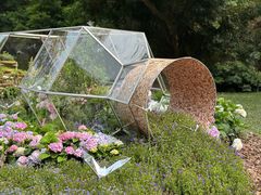 -深圳仙湖植物园