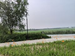 -天津东丽湖风景区