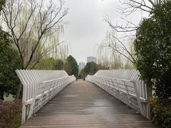 -南翔镇银翔湖公园