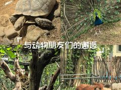 -太原动物园