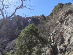 -北京鹫峰国家森林公园