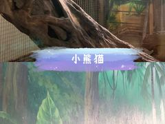-西安秦岭野生动物园