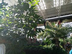 -郑州银基黄帝宫御温泉