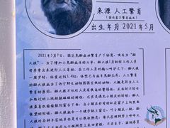 -青藏高原野生动物园