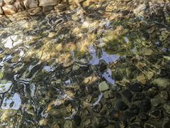 -映月潭温泉