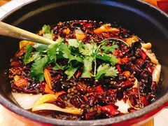 牛三金-烛影拾光观景餐厅·创意菜·摄影·小提琴(大唐不夜城店)