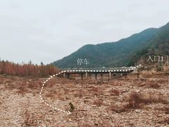 -小芝红树林