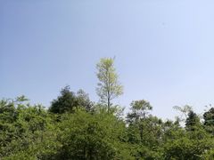 -金堂县云顶石城风景区