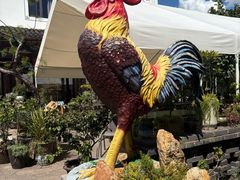 -头上红煨盐鸡乡村食府