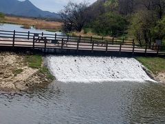 -大九湖