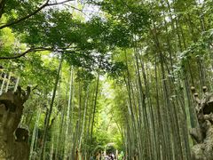 -西湖风景区十里琅珰-五云山