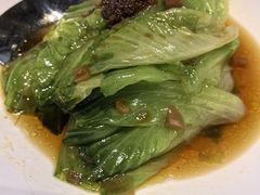 红葱酱灼罗马生菜-肆月河豚·新淮扬(金融街店)