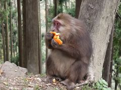 -太阳湾风景区