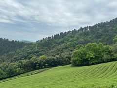 -敬亭山风景名胜区