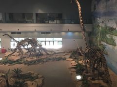 -自贡恐龙博物馆