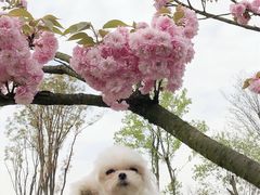 -白鹭湾湿地公园