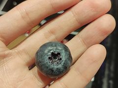 -巴奴毛肚火锅(王府井百货店)