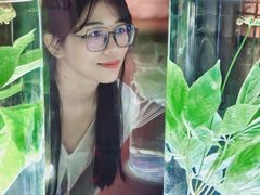 -广东中医药博物馆