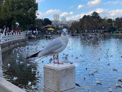 -翠湖里(翠湖南路店)