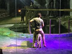 -清迈夜间动物园