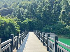 -九龙潭景区