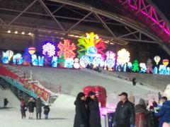 -沈阳奥体冰雪嘉年华