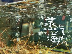 -海大大蒸汽海鲜餐厅·粤菜·特色小炒(欢乐颂店)