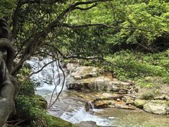 -大鄣山卧龙谷景区