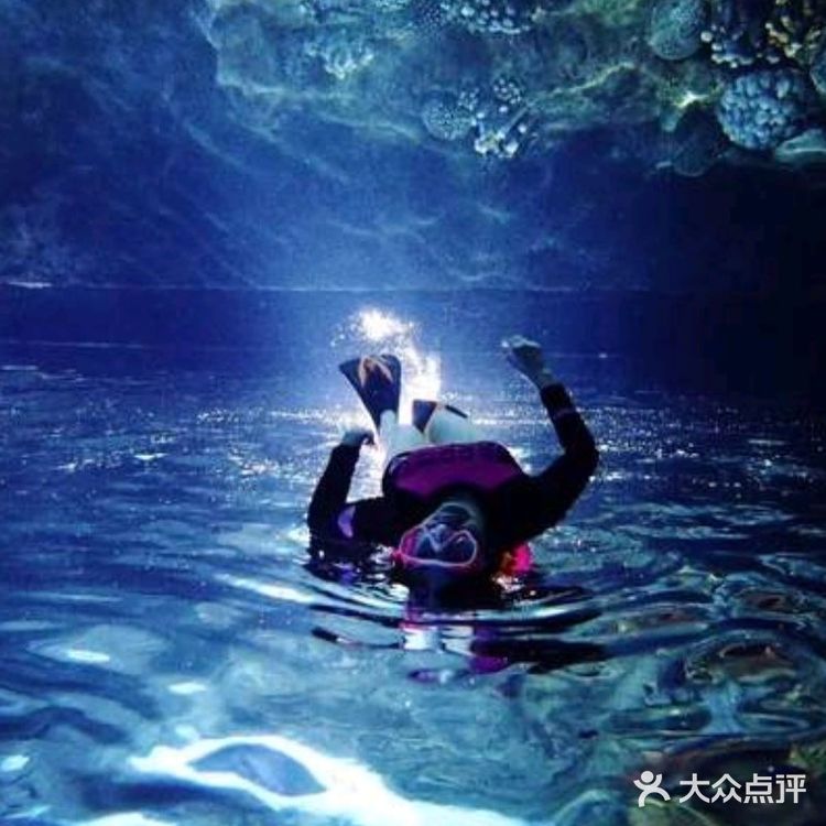 小众运动~体验海底世界💦