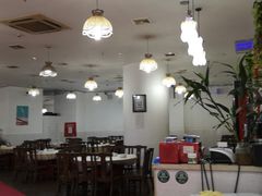-东吴霸王兔(松青路店)