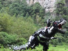 -武隆天坑地缝国家地质公园